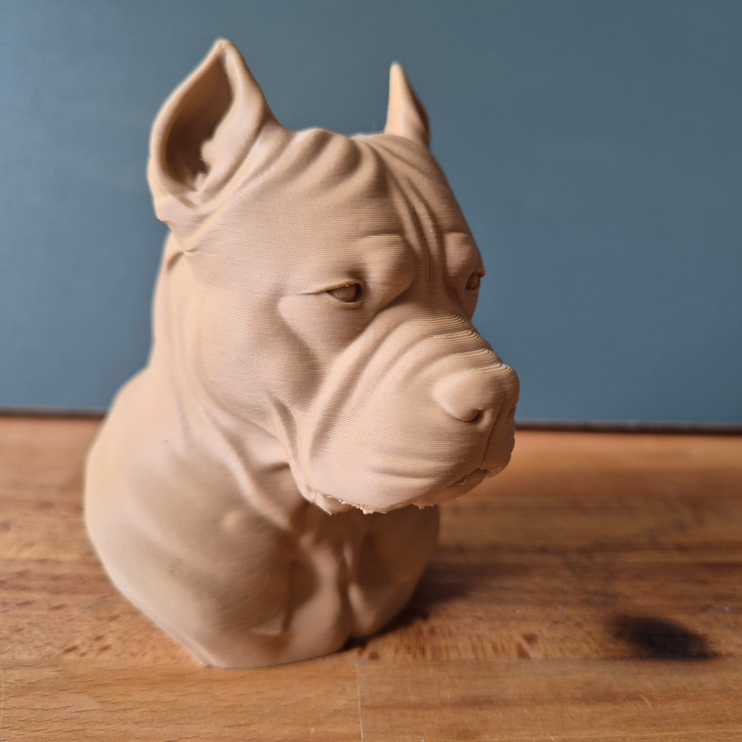 Buste de Pitbull Terrier – Sculpture de Chien Réaliste en Impression 3D – Décoration Intérieure – Cadeau pour Amoureux des Chiens