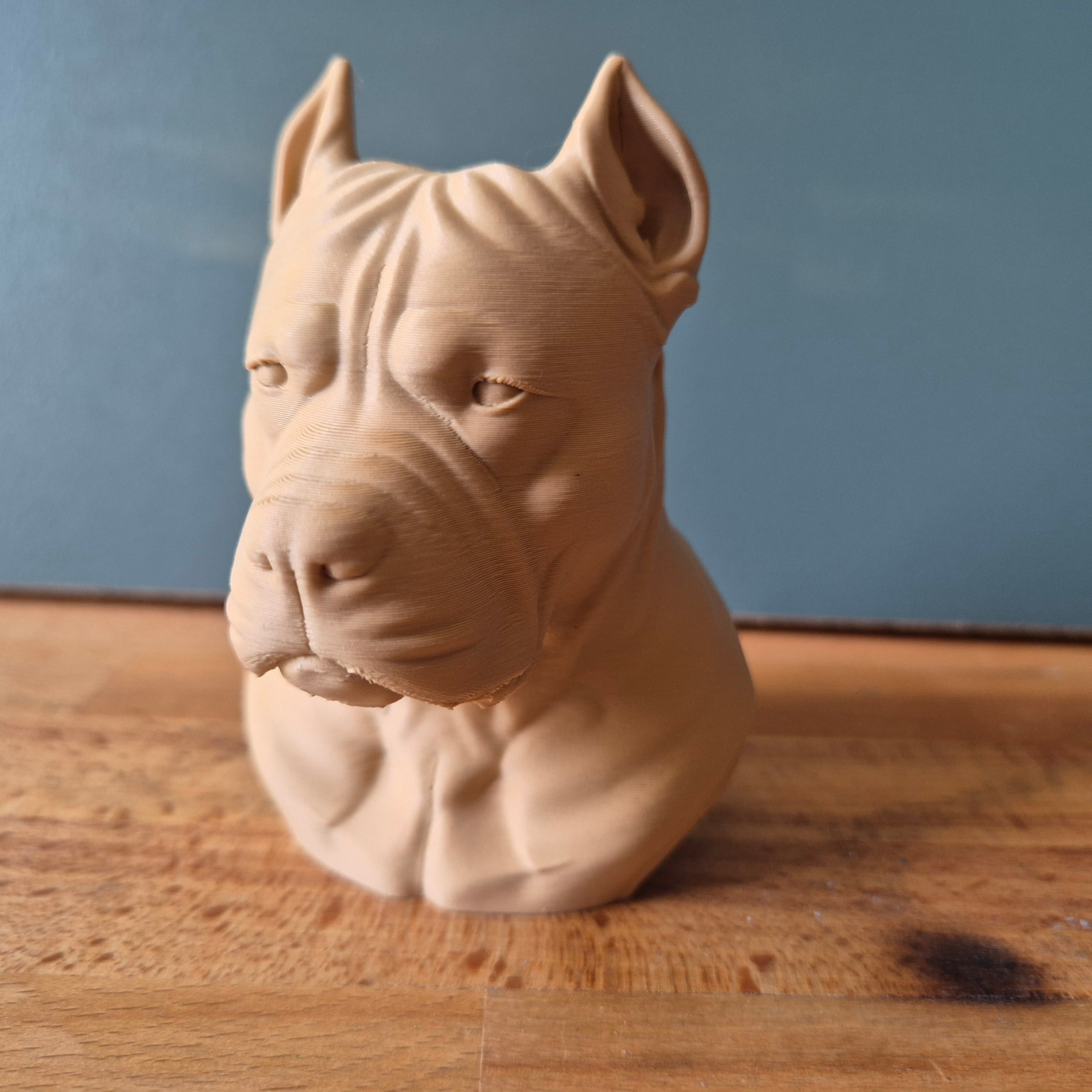 Buste de Pitbull Terrier – Sculpture de Chien Réaliste en Impression 3D – Décoration Intérieure – Cadeau pour Amoureux des Chiens