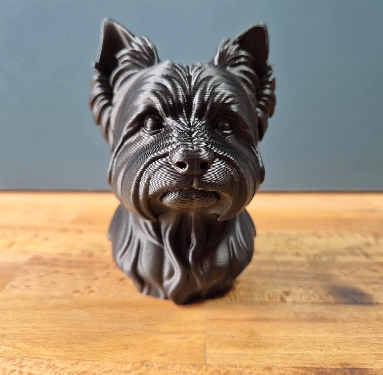 Buste Yorkshire – Statue chien réaliste – Sculpture Yorkshire terrier – Décoration maison – Cadeau amoureux des chiens
