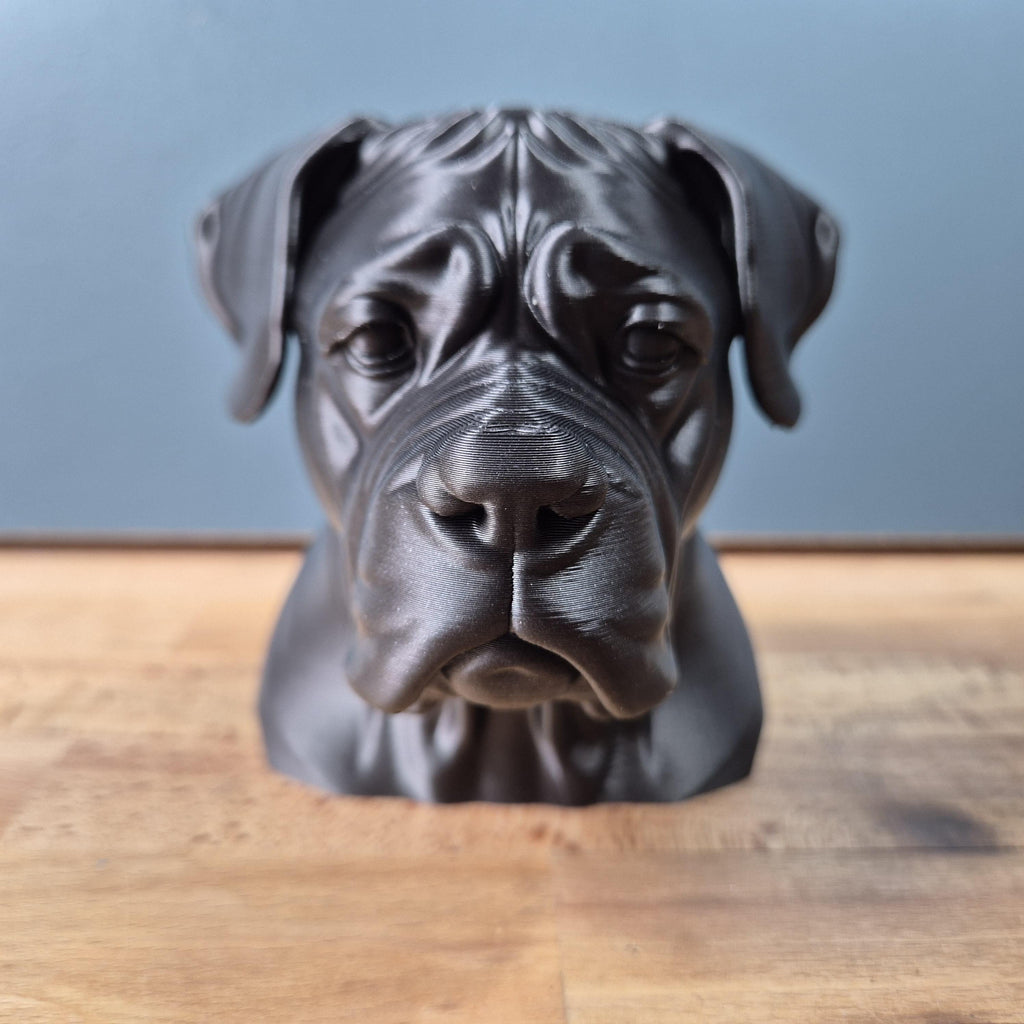 Buste de Cane Corso décoratif – Statue chien Cane Corso – Sculpture moderne effet noir mat – Décoration intérieure