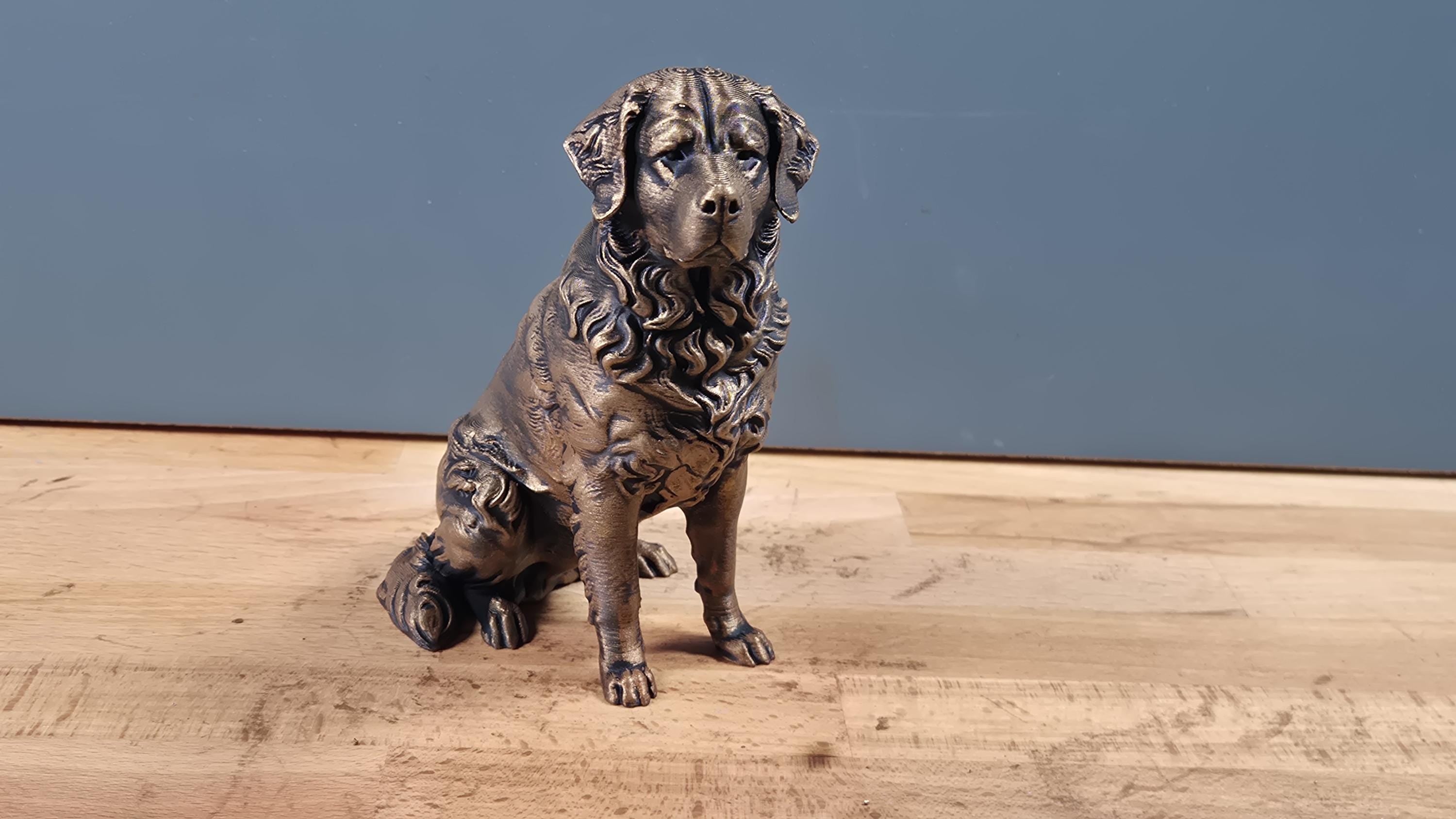 Statue Bouvier Bernois Bronze – Sculpture Chien Élégante en Impression 3D | Décoration Moderne & Cadeau Passion Chien