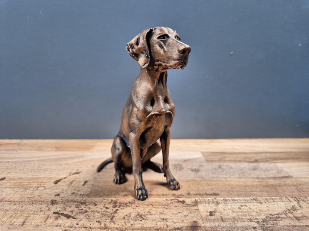 Braque Allemand à Poil Court – Statue de Chien 3D Style Bronze | Décoration Intérieure & Cadeau Personnalisé
