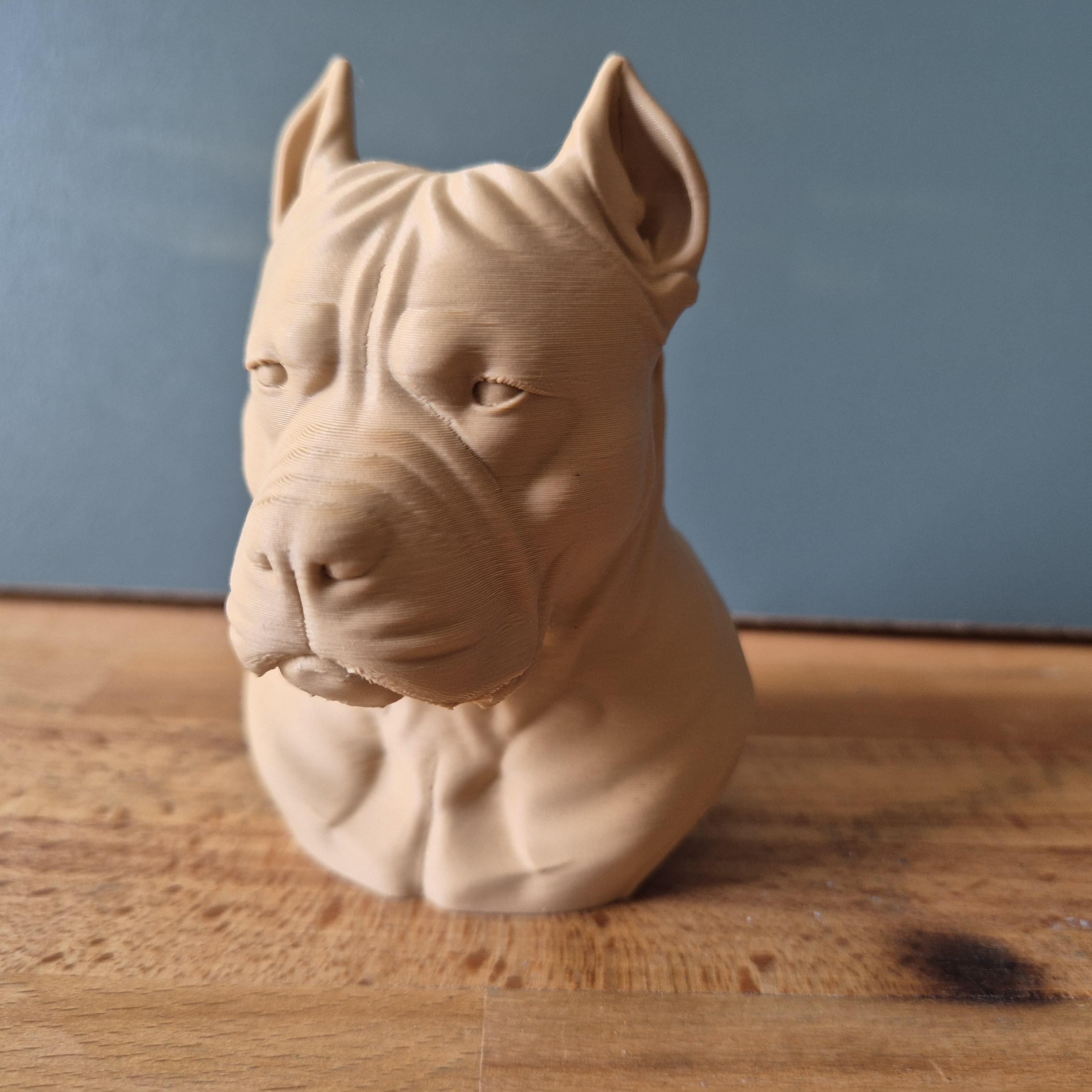 Buste de Pitbull Terrier – Sculpture de Chien Réaliste en Impression 3D – Décoration Intérieure – Cadeau pour Amoureux des Chiens