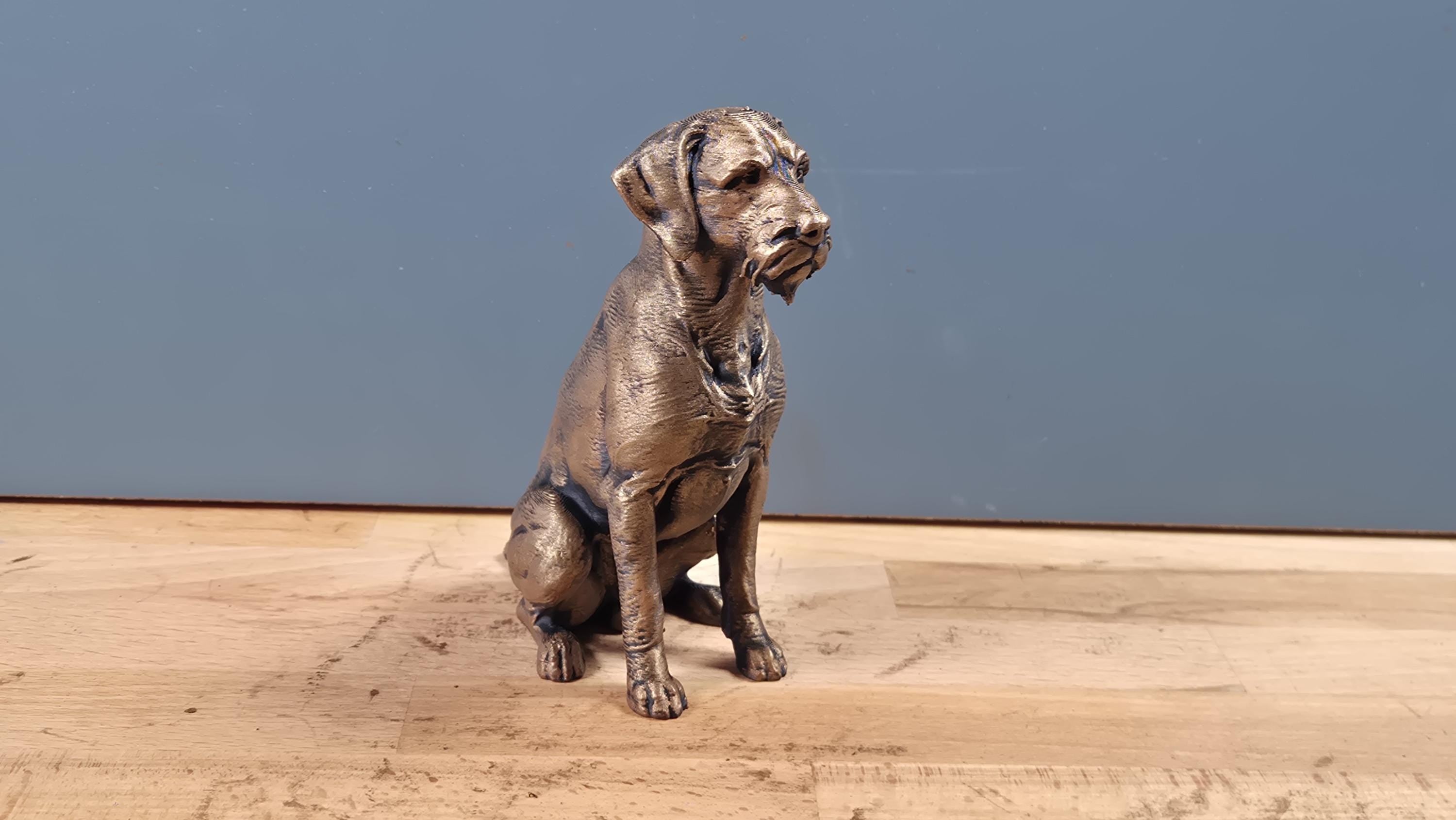 Statue Braque Allemand Bronze – Sculpture Chien de Chasse en Impression 3D | Décoration Élégante & Cadeau Passion Chien