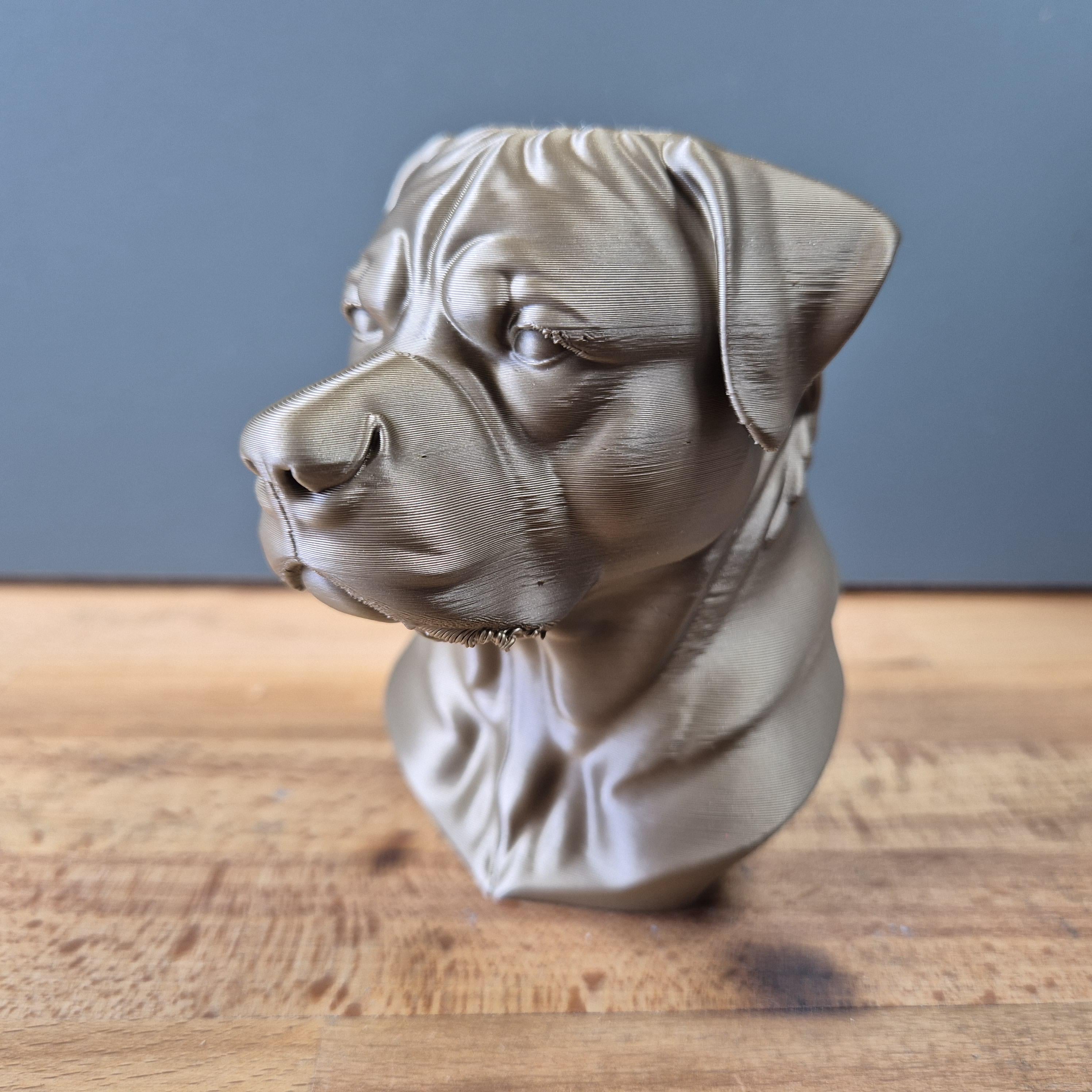 Buste Rottweiler – Statue Chien Moderne – Sculpture Décorative Imprimée en 3D
