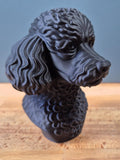 Buste de Caniche Miniature – Statue Chien Élégante – Décoration Moderne en Impression 3D – Cadeau pour Amoureux des Chiens