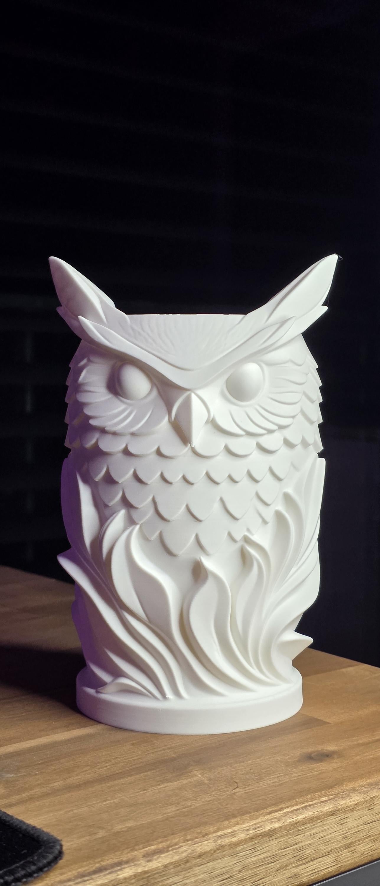 Pot Hibou Décoratif Imprimé en 3D – Cache-Pot Design Minimaliste – Décoration Intérieure Moderne – Organiseur Bureau