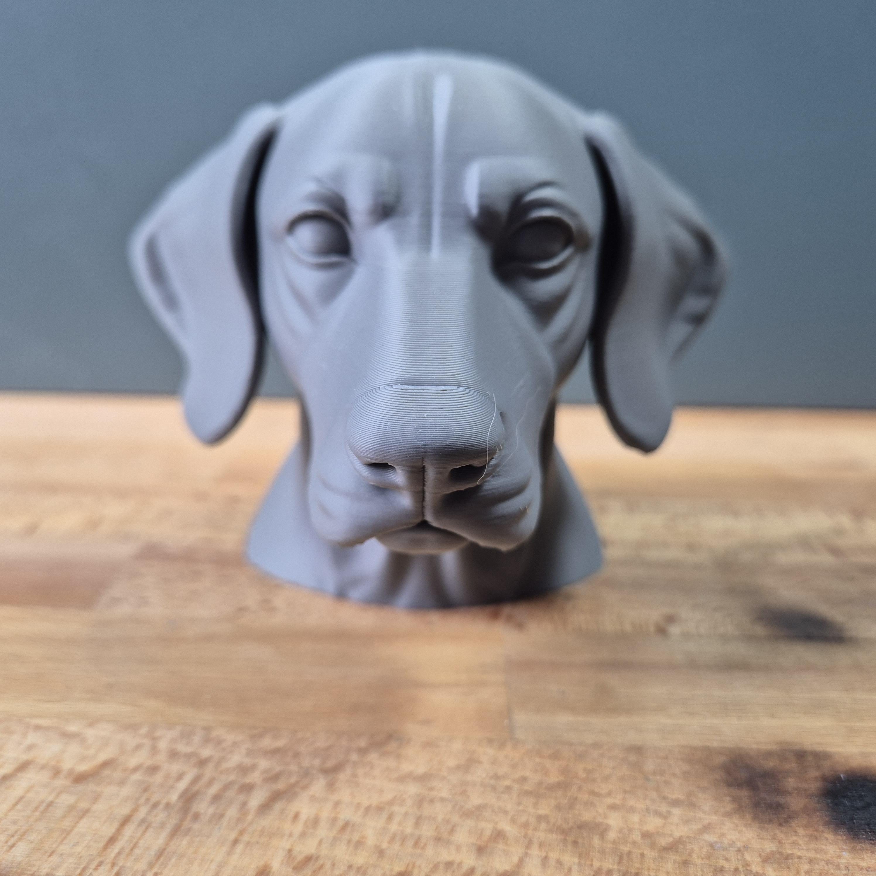 Buste Braque Allemand à Poil Court – Sculpture Chien Décorative | Statue Imprimée en 3D pour Amoureux des Chiens
