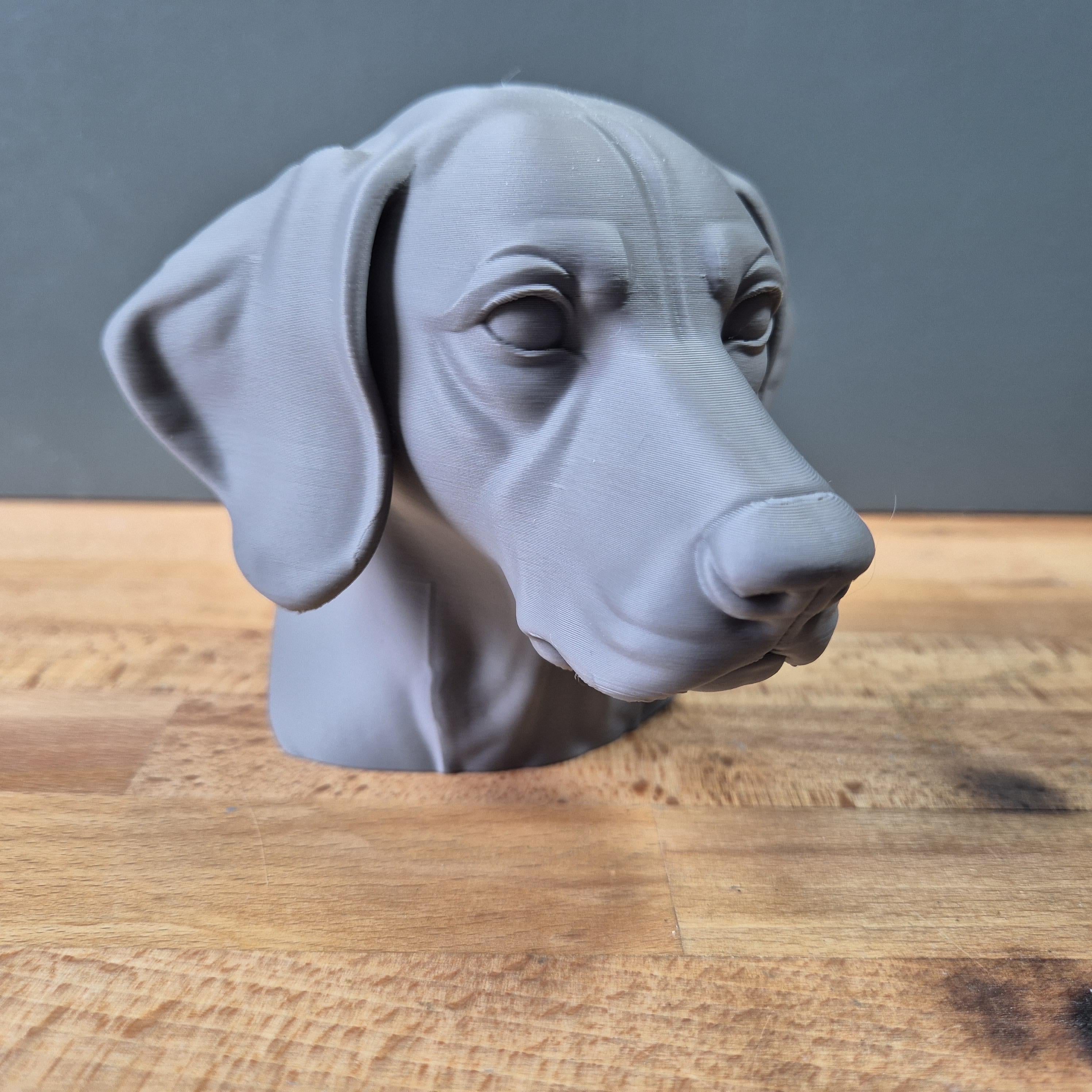 Buste Braque Allemand à Poil Court – Sculpture Chien Décorative | Statue Imprimée en 3D pour Amoureux des Chiens