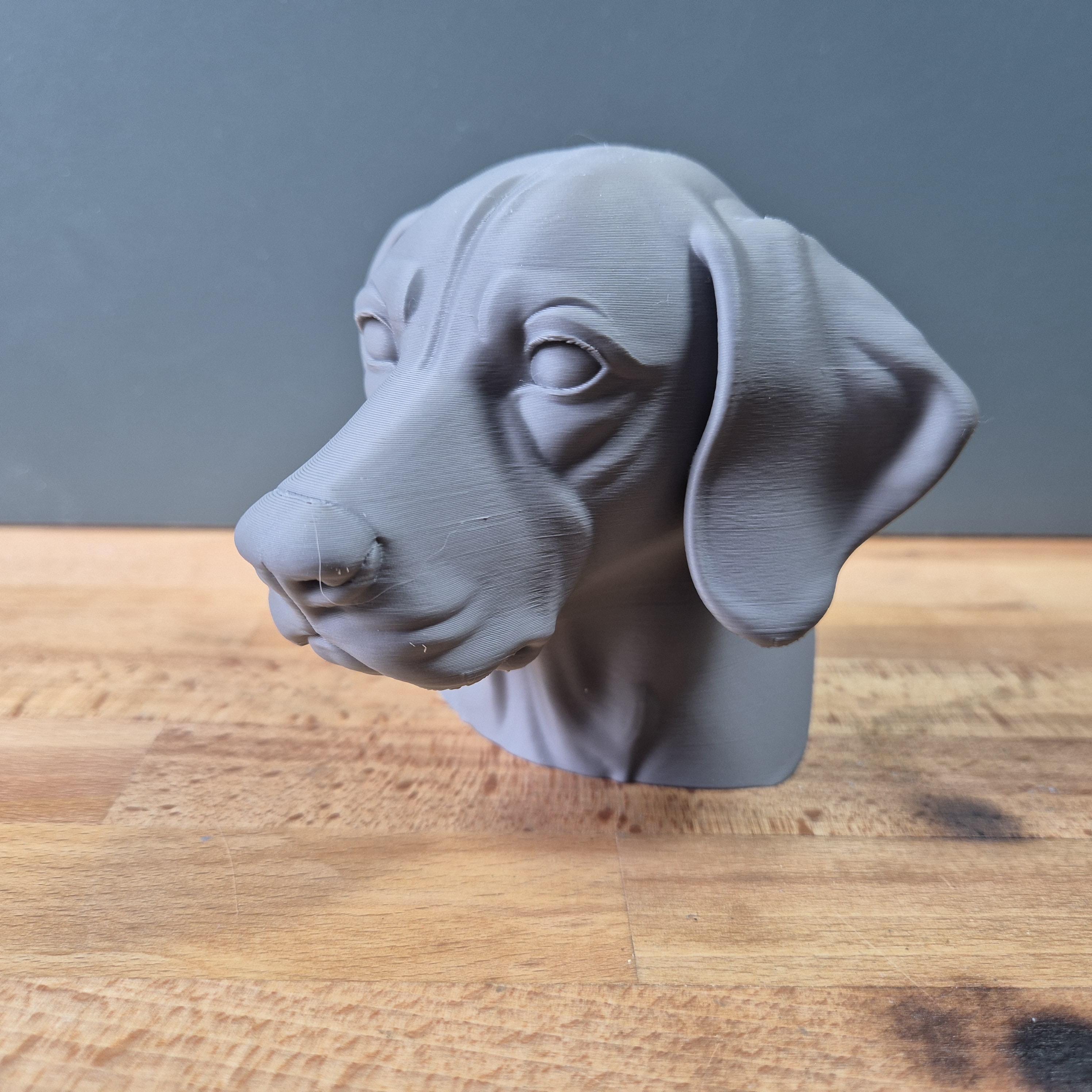 Buste Braque Allemand à Poil Court – Sculpture Chien Décorative | Statue Imprimée en 3D pour Amoureux des Chiens