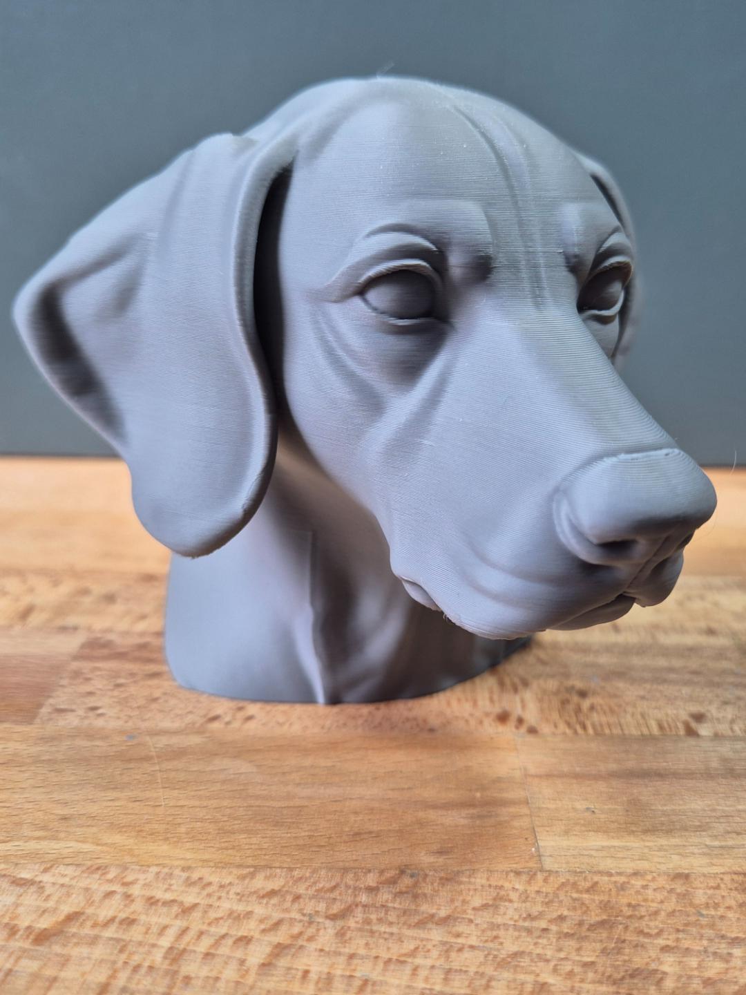 Buste Braque Allemand à Poil Court – Sculpture Chien Décorative | Statue Imprimée en 3D pour Amoureux des Chiens