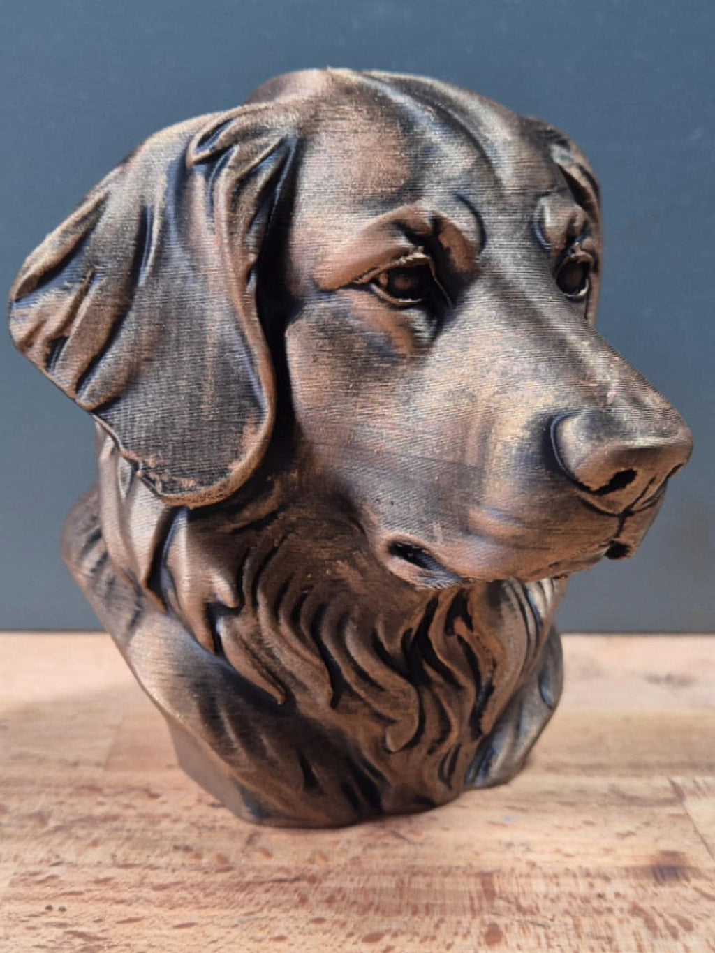 Buste Hovawart – Statue de Chien Imprimée en 3D – Décoration Moderne – Cadeau pour Amoureux des Hovawarts