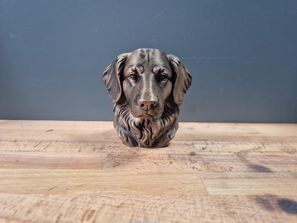 Buste Hovawart – Statue de Chien Imprimée en 3D – Décoration Moderne – Cadeau pour Amoureux des Hovawarts