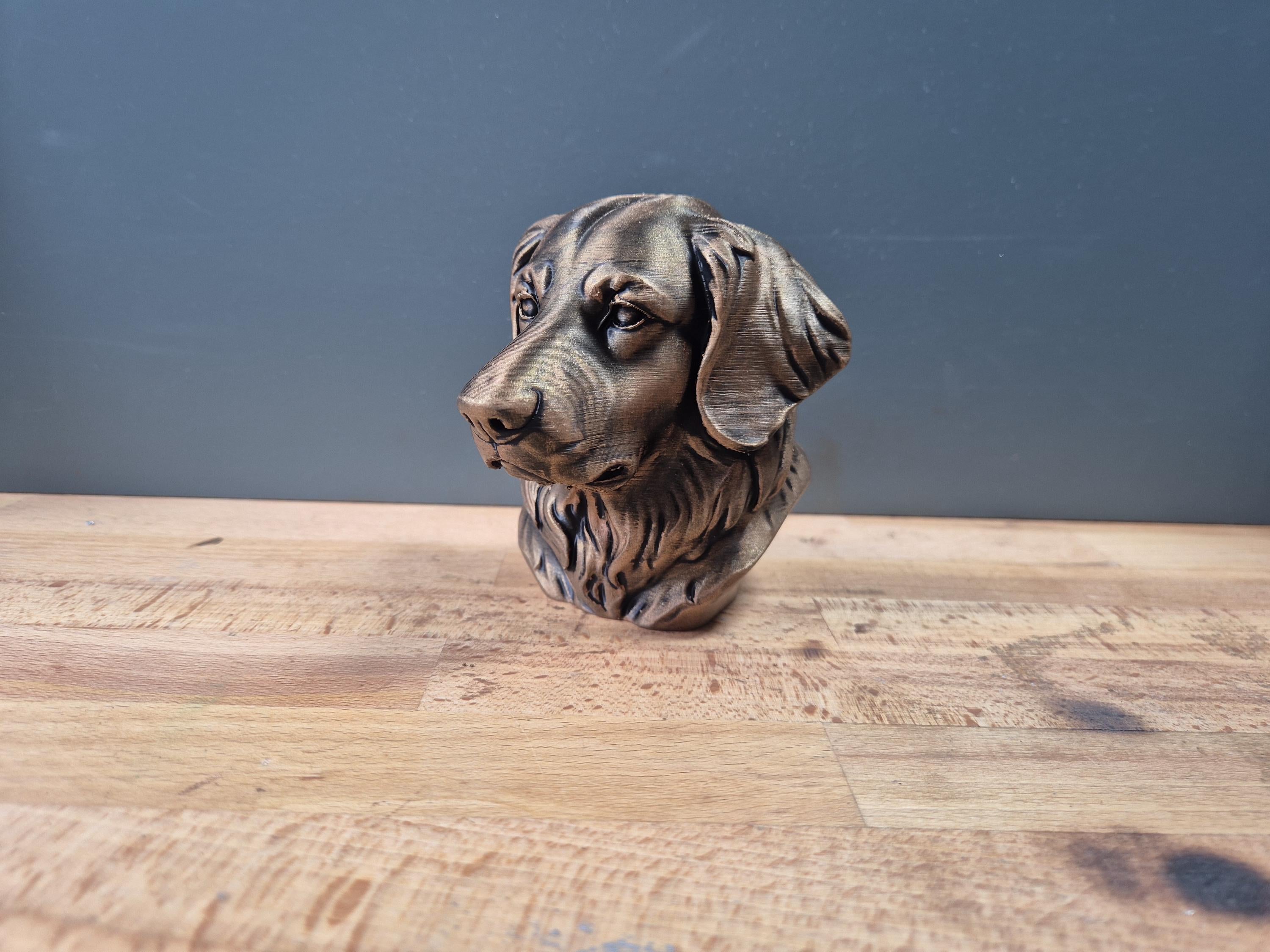 Buste Hovawart – Statue de Chien Imprimée en 3D – Décoration Moderne – Cadeau pour Amoureux des Hovawarts