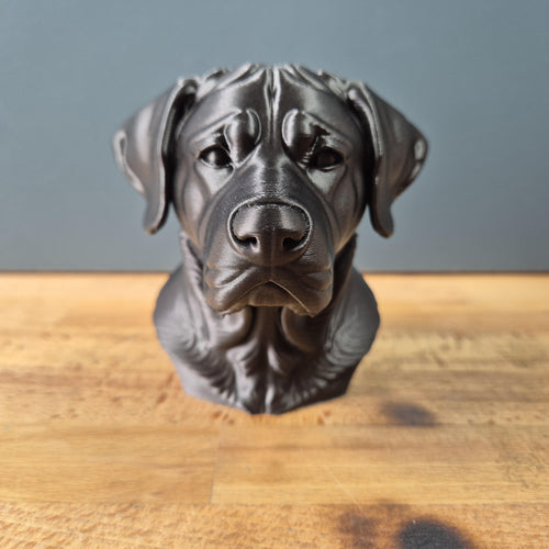 Buste Chien de Montagne Suisse Géant – Statue Chien Imprimée en 3D – Sculpture Réaliste – Décoration Maison – Cadeau Amoureux des Chiens