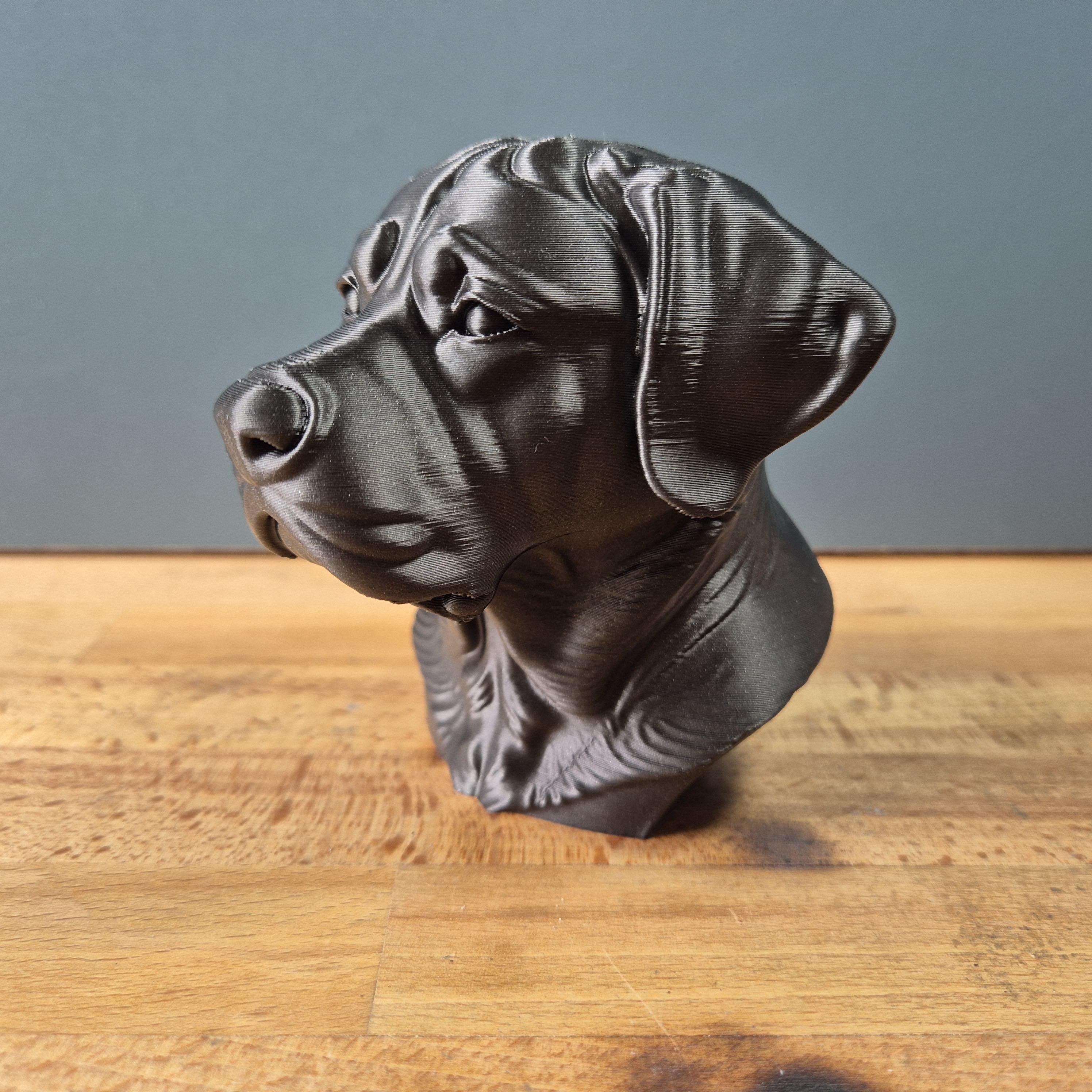 Buste Chien de Montagne Suisse Géant – Statue Chien Imprimée en 3D – Sculpture Réaliste – Décoration Maison – Cadeau Amoureux des Chiens