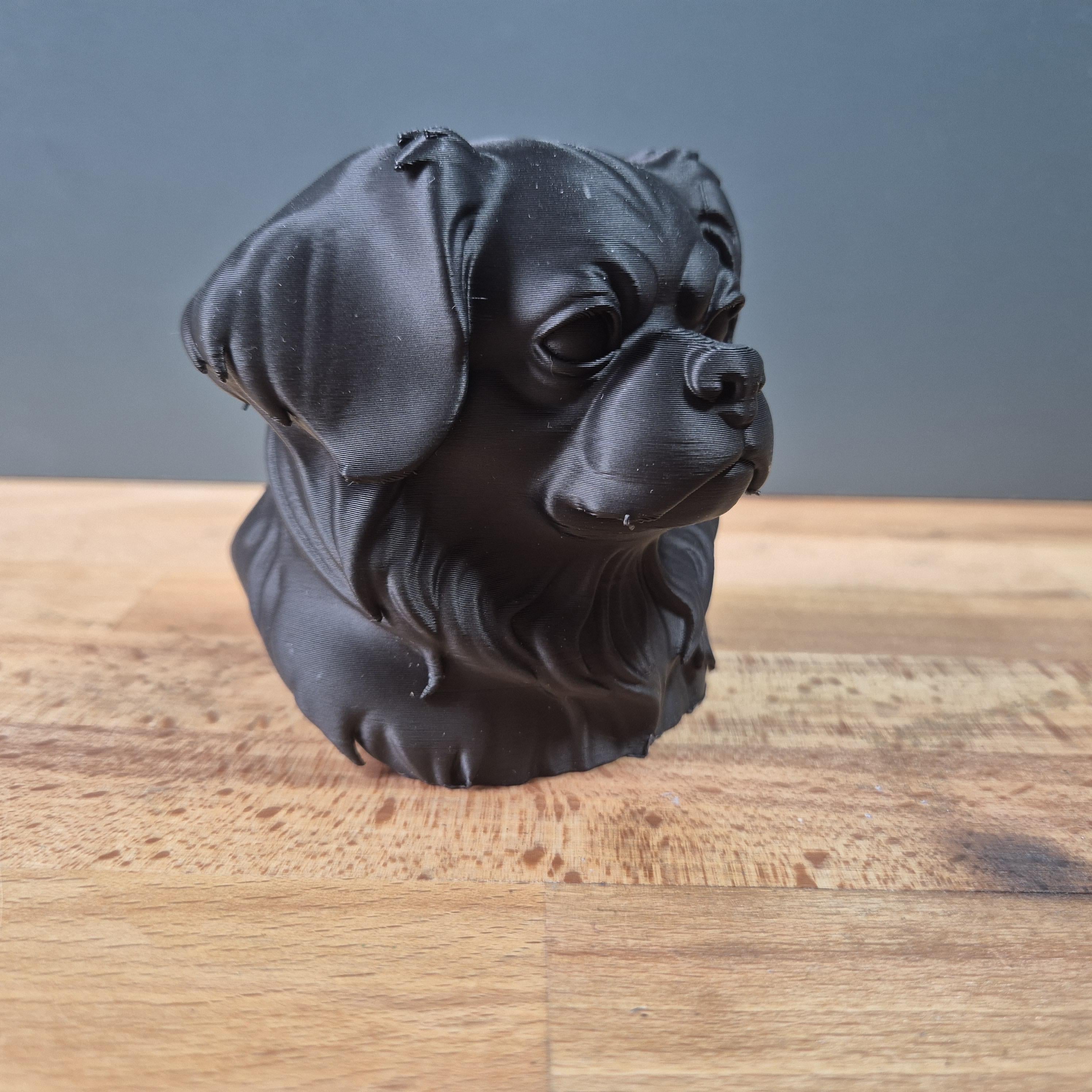 Buste Épagneul Tibétain – Statue Chien Imprimée en 3D – Sculpture Réaliste – Décoration Maison – Cadeau Amoureux des Chiens