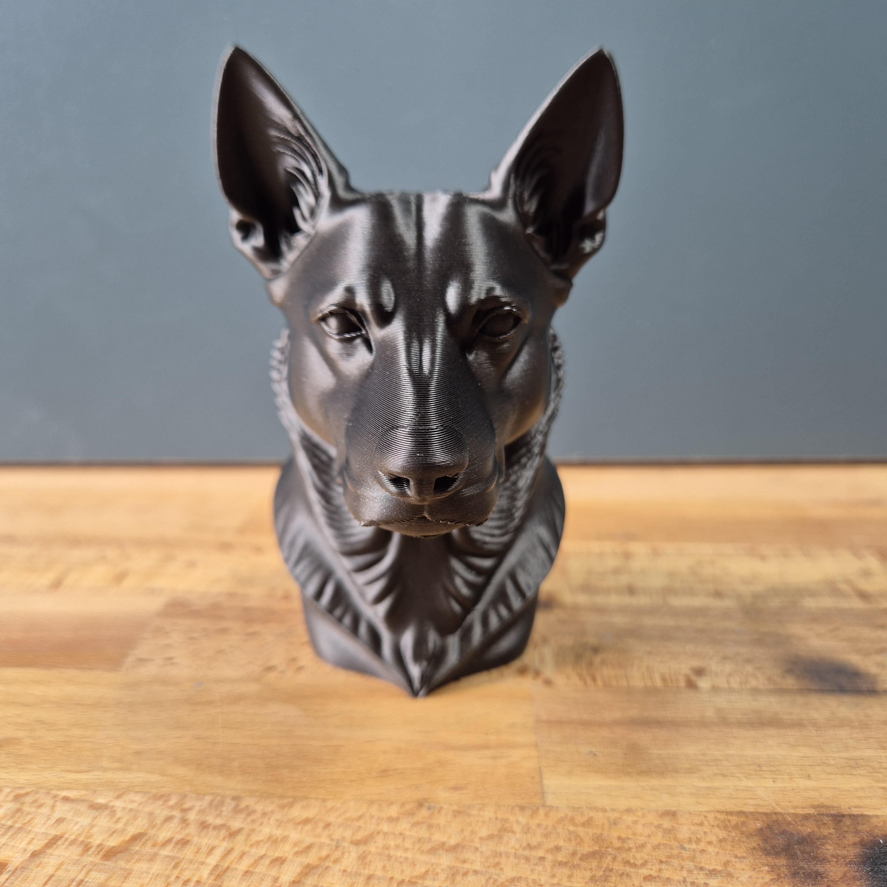 Buste Kelpie Australien – Statue Chien Moderne – Sculpture Canine Décorative – Impression 3D – Cadeau Amoureux des Chiens – Déco Intérieure