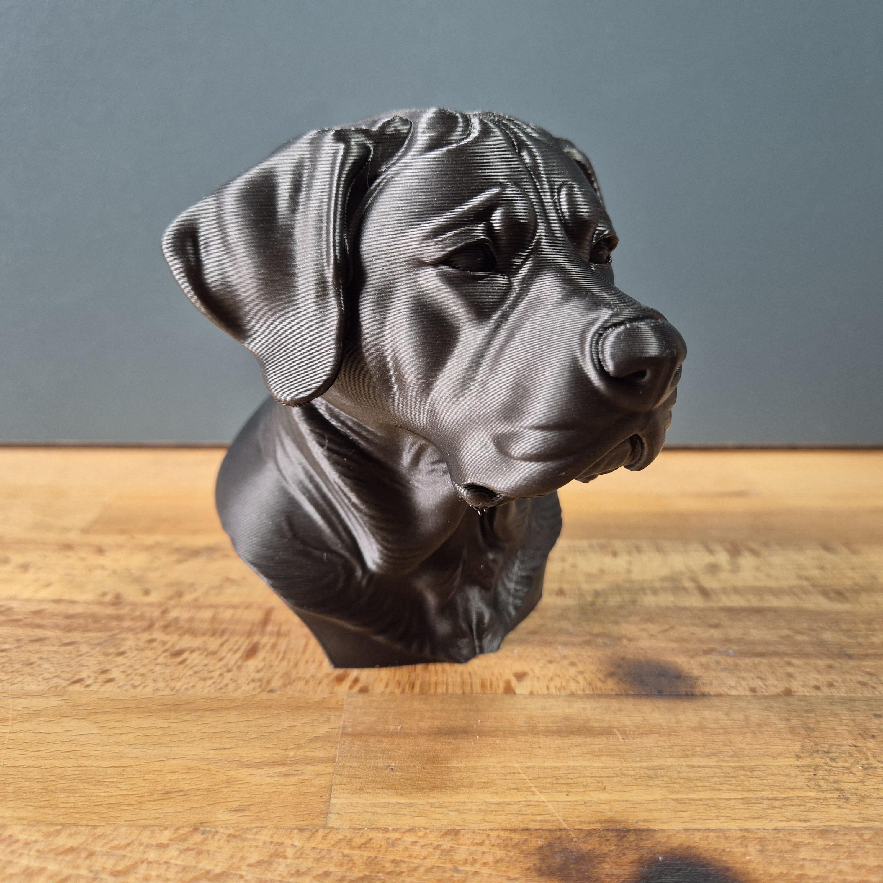 Buste Chien de Montagne Suisse Géant – Statue Chien Imprimée en 3D – Sculpture Réaliste – Décoration Maison – Cadeau Amoureux des Chiens
