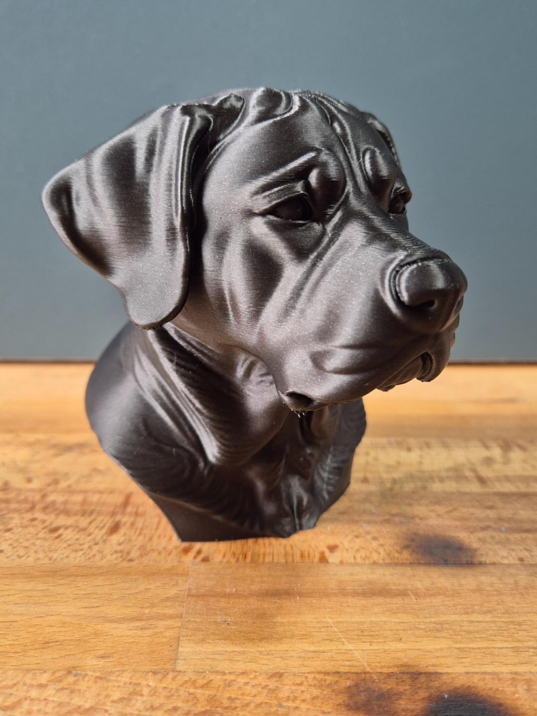 Buste Chien de Montagne Suisse Géant – Statue Chien Imprimée en 3D – Sculpture Réaliste – Décoration Maison – Cadeau Amoureux des Chiens